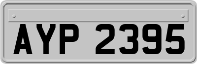 AYP2395