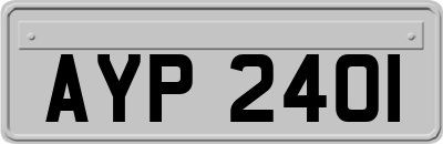 AYP2401