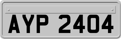 AYP2404
