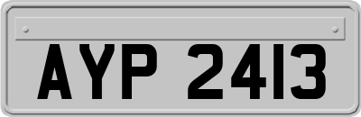 AYP2413