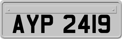 AYP2419
