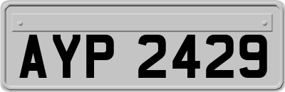 AYP2429