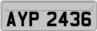 AYP2436