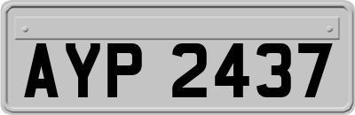 AYP2437
