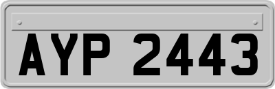 AYP2443