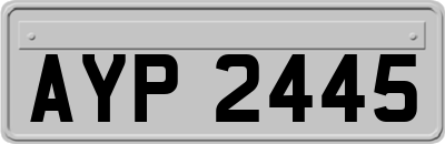 AYP2445