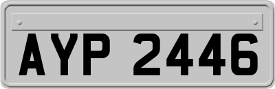 AYP2446