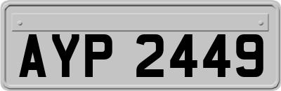 AYP2449
