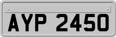 AYP2450