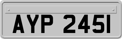 AYP2451