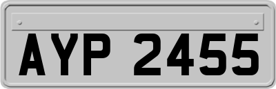 AYP2455
