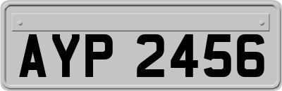 AYP2456