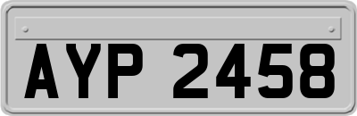 AYP2458