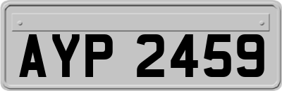 AYP2459