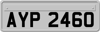 AYP2460