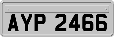AYP2466