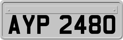 AYP2480