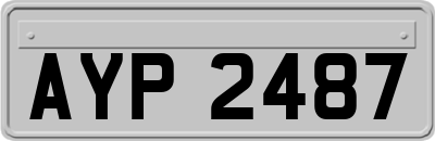 AYP2487