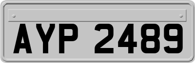 AYP2489
