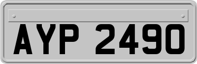 AYP2490