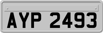 AYP2493