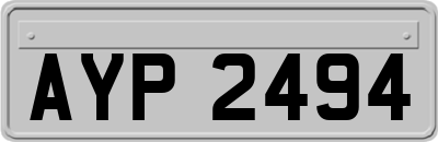 AYP2494