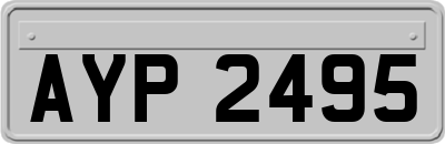AYP2495