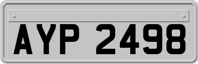 AYP2498
