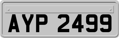 AYP2499