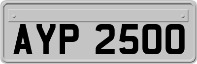 AYP2500
