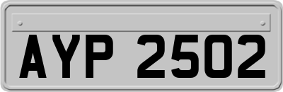 AYP2502