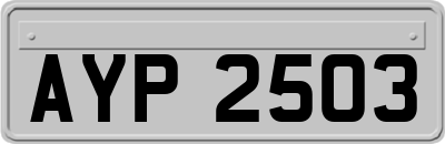 AYP2503