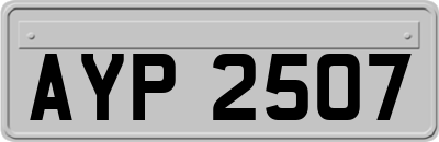AYP2507