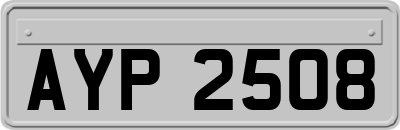 AYP2508