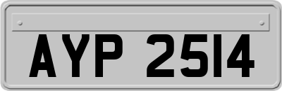 AYP2514