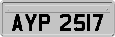 AYP2517