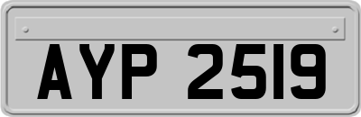 AYP2519
