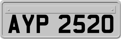 AYP2520