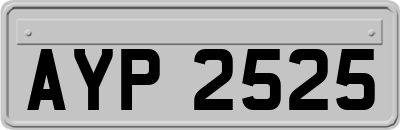 AYP2525
