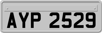 AYP2529