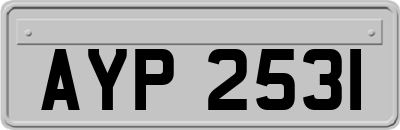 AYP2531
