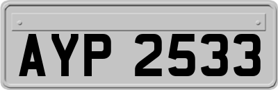 AYP2533