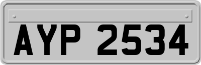 AYP2534