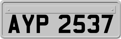 AYP2537