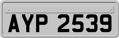 AYP2539
