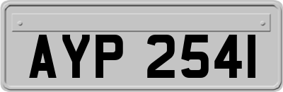 AYP2541