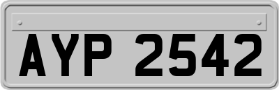 AYP2542