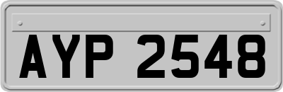 AYP2548