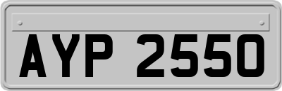 AYP2550