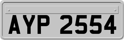 AYP2554